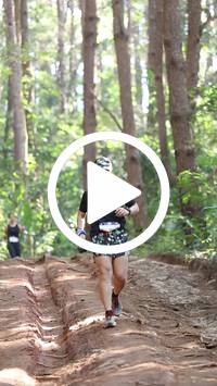 BIB:  <button type="button" onclick="openModal(26569660)" class="btn btn-primary btn-sm float-right" data-toggle="modal" data-target=".modal-high-quality">
                <i class="fa fa-download"></i> Download
                </button>